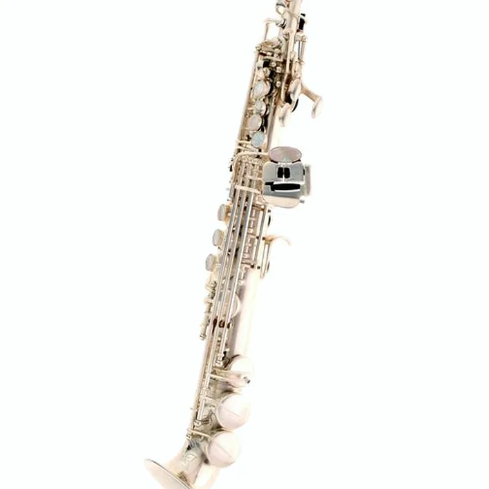 Le saxophone Rampone & Cazzani R1 Jazz Eb-Saxellino AG / Test, Avis
