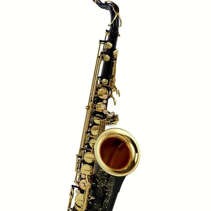 Le saxophone Selmer Series III Tenor Sax SE-T3B Test & Avis