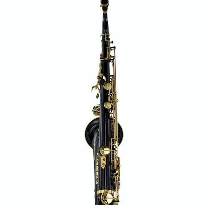 Le saxophone Selmer Series III Tenor Sax SE-T3B Test & Avis