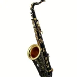 Le saxophone Selmer Series III Tenor Sax SE-T3B Test & Avis