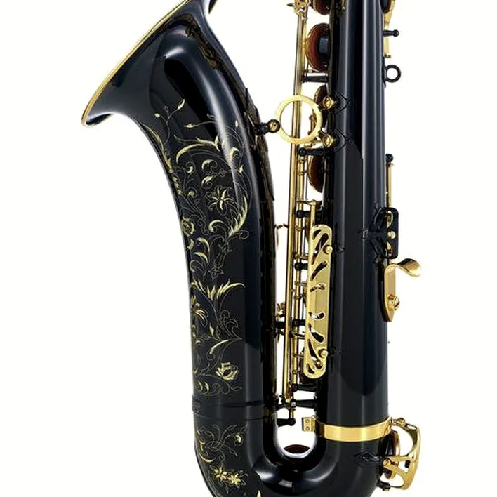Le saxophone Selmer Series III Tenor Sax SE-T3B Test & Avis
