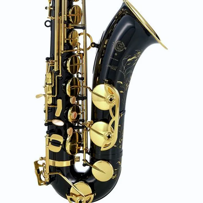 Le saxophone Selmer Series III Tenor Sax SE-T3B Test & Avis