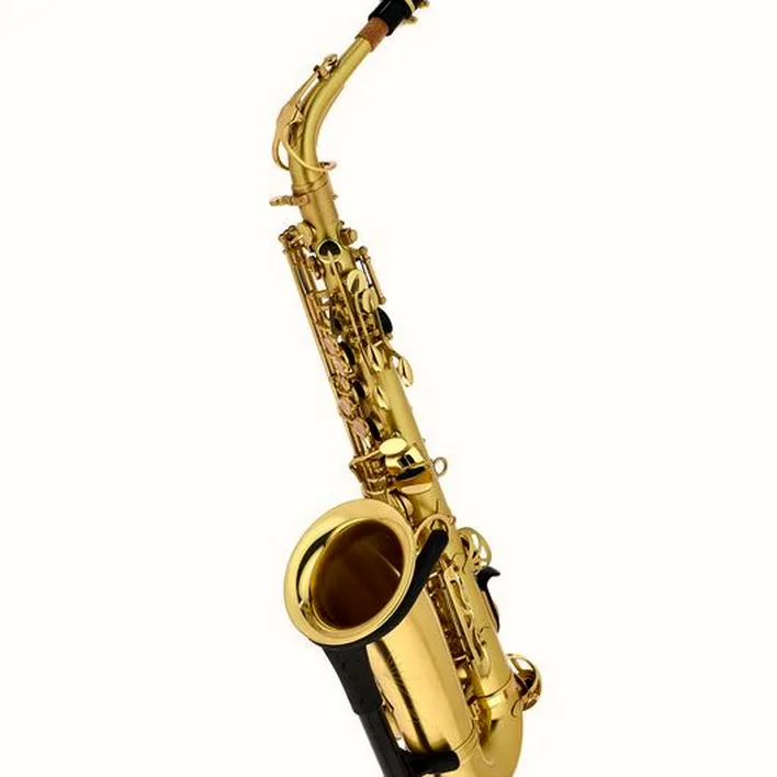 Le saxophone Thomann TAS-180 Matt Alto Sax / Avis, Comparatif et Test