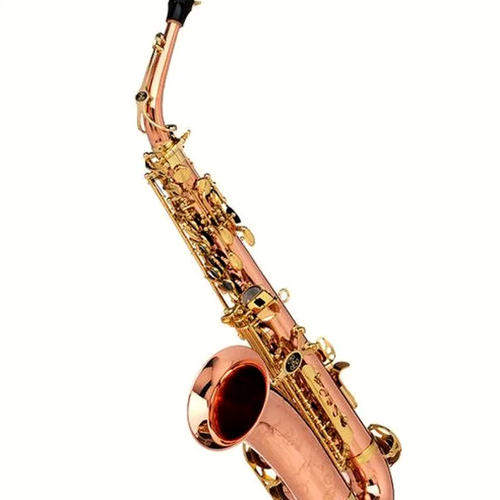 Le saxophone Buffet Crampon SENZO Copper Alto Sax Test, Avis, Comparatif