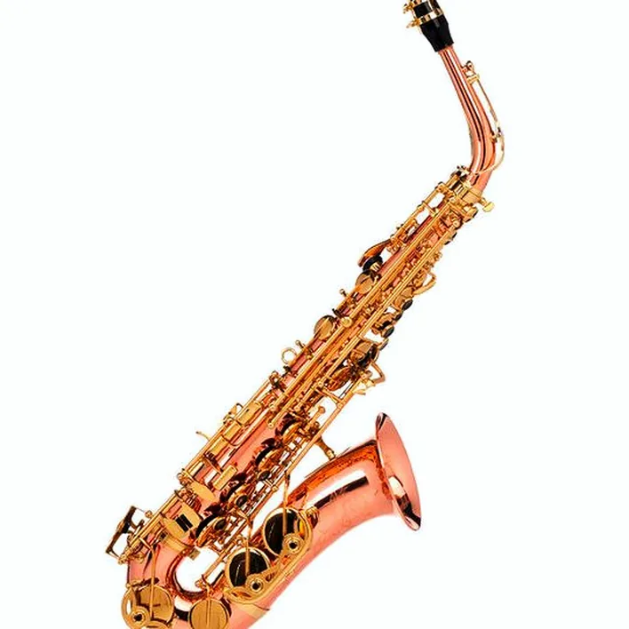 Le saxophone Buffet Crampon SENZO Copper Alto Sax Test, Avis, Comparatif
