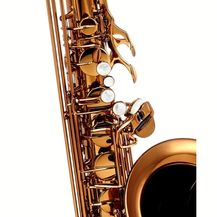 Avis & Test du saxophone Forestone GX Cognac Lacquered Tenor Sax