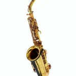 Avis, Test saxophone Forestone GX Cognac Vintage Alto Sax