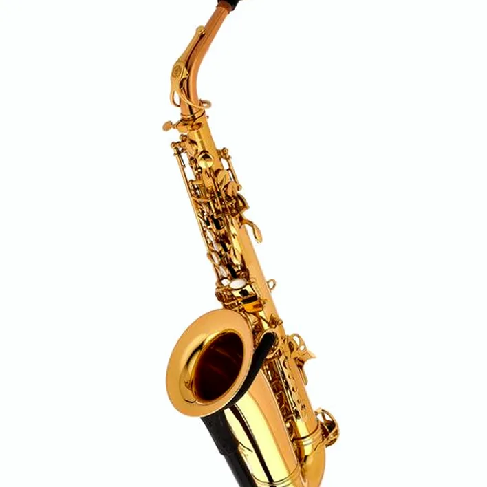 Saxophone Schagerl Academia Alto Sax A-920L-II – Comparatif, Avis, Test