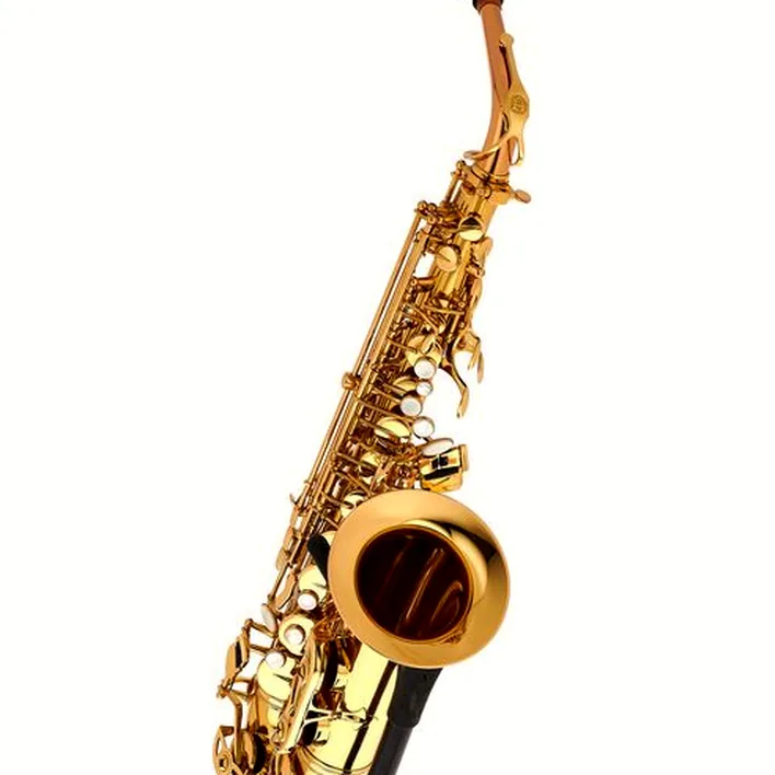 Saxophone Schagerl Academia Alto Sax A-920L-II – Comparatif, Avis, Test