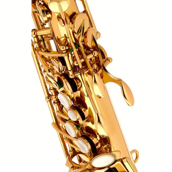 Saxophone Schagerl Academia Alto Sax A-920L-II – Comparatif, Avis, Test