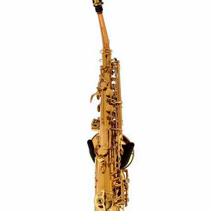 Saxophone Schagerl Academia Alto Sax A-920L-II – Comparatif, Avis, Test