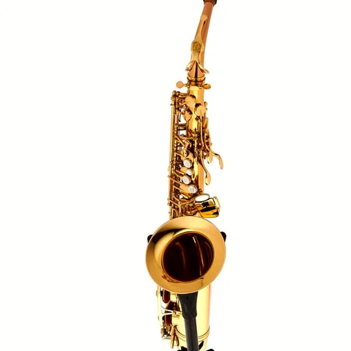 Saxophone Schagerl Academia Alto Sax A-920L-II – Comparatif, Avis, Test