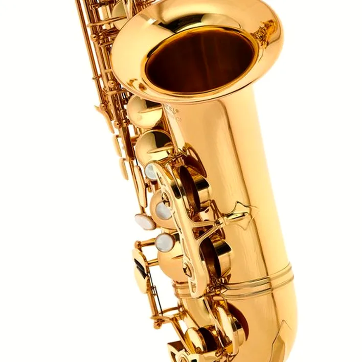 Saxophone Schagerl Academia Alto Sax A-920L-II – Comparatif, Avis, Test