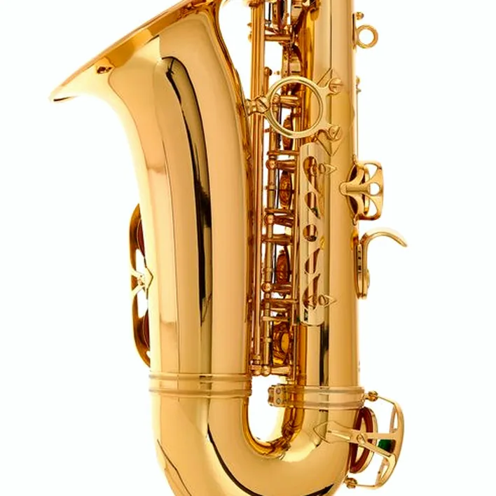 Saxophone Schagerl Academia Alto Sax A-920L-II – Comparatif, Avis, Test