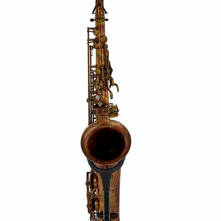 Avis, Test : Schagerl Superior Tenor Sax T-1VB