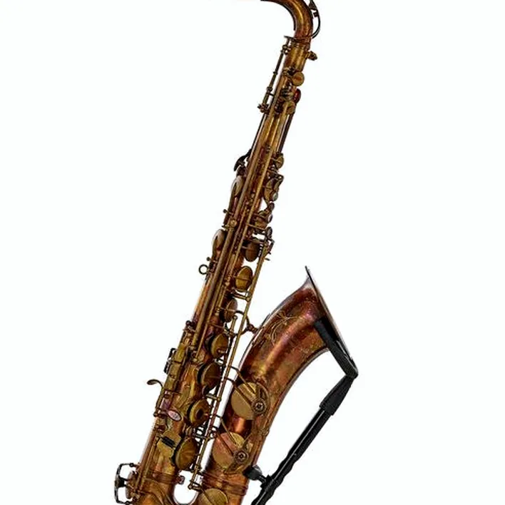 Avis, Test : Schagerl Superior Tenor Sax T-1VB