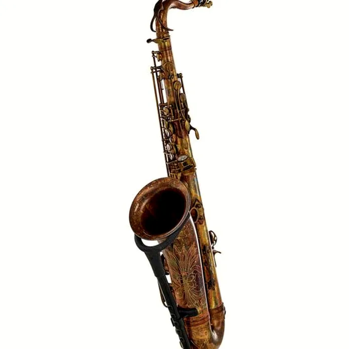 Avis, Test : Schagerl Superior Tenor Sax T-1VB