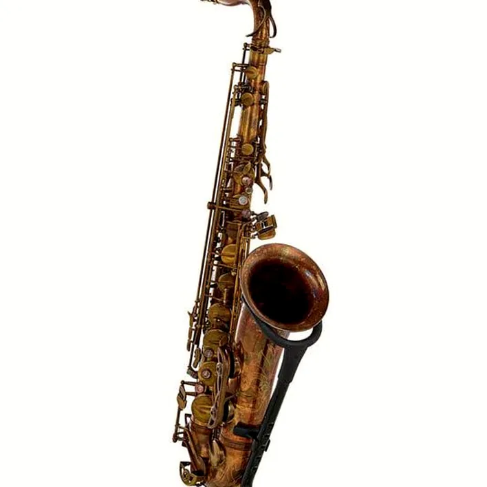 Avis, Test : Schagerl Superior Tenor Sax T-1VB