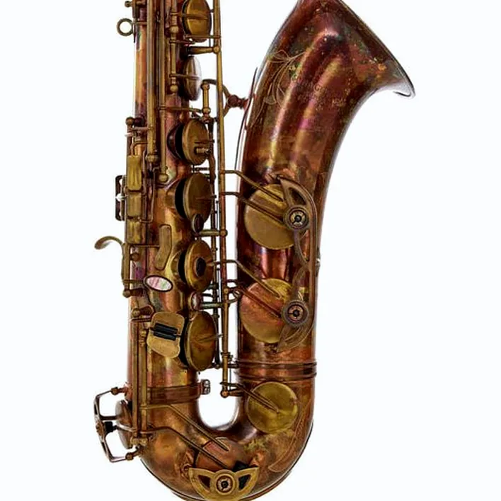 Avis, Test : Schagerl Superior Tenor Sax T-1VB