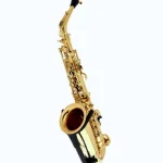 Saxophone Selmer SE-A2L Goldlac SA80 II AltoSax / Test & Avis