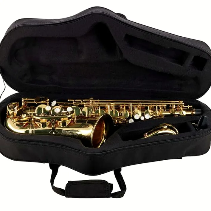 Saxophone Startone SAS-75 Alto Sax Set II Avis, Test et Comparatif