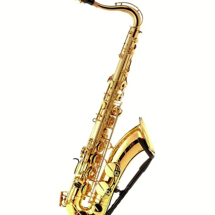 Test, Avis : Yamaha YTS-480 Tenor Sax