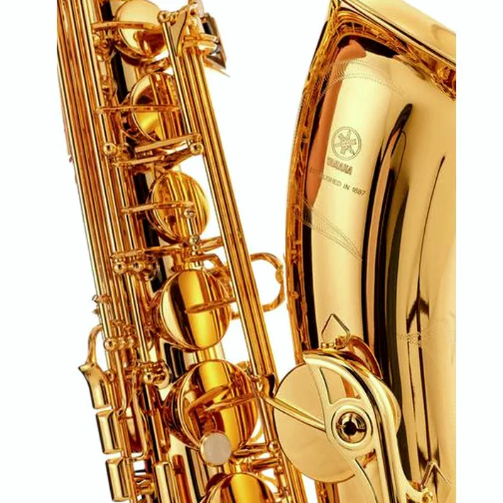 Test, Avis : Yamaha YTS-480 Tenor Sax