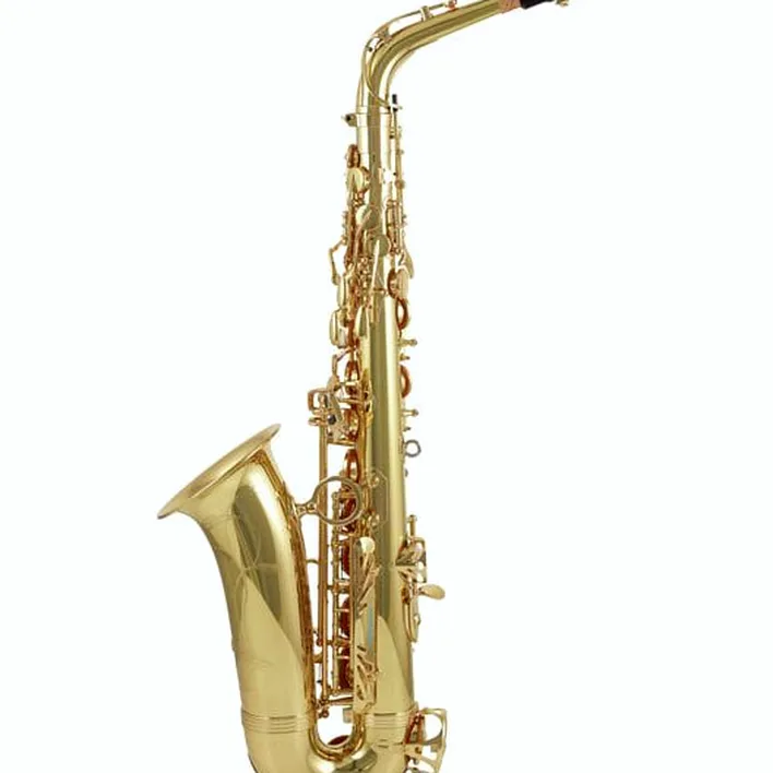Saxophone Yanagisawa A-WO1 Alto Sax : Test, Avis & Comparatif