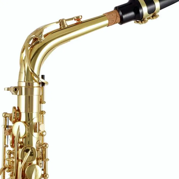Saxophone Yanagisawa A-WO1 Alto Sax : Test, Avis & Comparatif