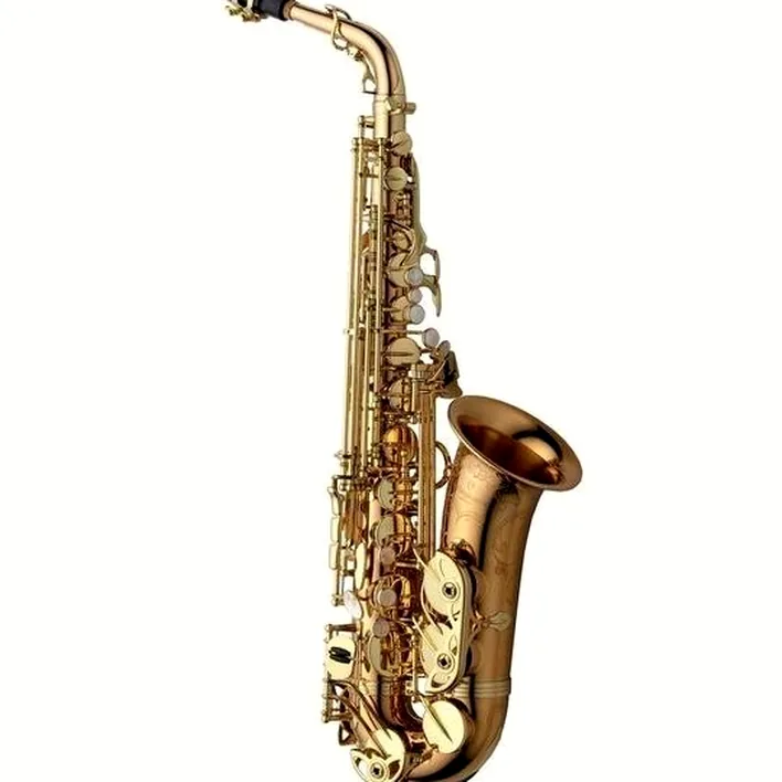 Test & Avis saxophone Yanagisawa A-WO20 Elite Alto Sax