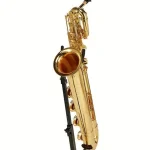 Saxophone Yanagisawa B-WO10 Baritone Sax / Avis, Comparatif, Test