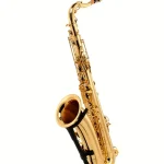 Avis & Test : Yanagisawa T-WO10 Elite Tenor Sax