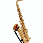 Avis et Test : Yanagisawa T-WO20 Elite Tenor Sax