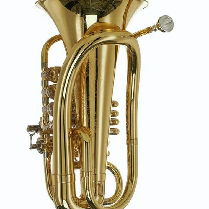 Le tuba ZO ZTU-F850L F-Tuba Test, Avis et Comparatif