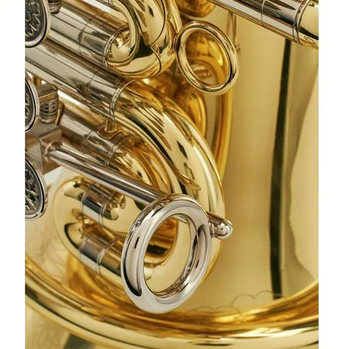 Le tuba ZO ZTU-F850L F-Tuba Test, Avis et Comparatif