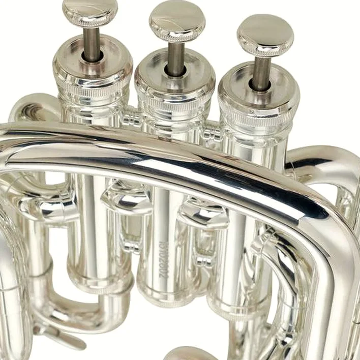 L’euphonium Thomann EP 802S Bb-Euphonium / Comparatif, Avis, Test