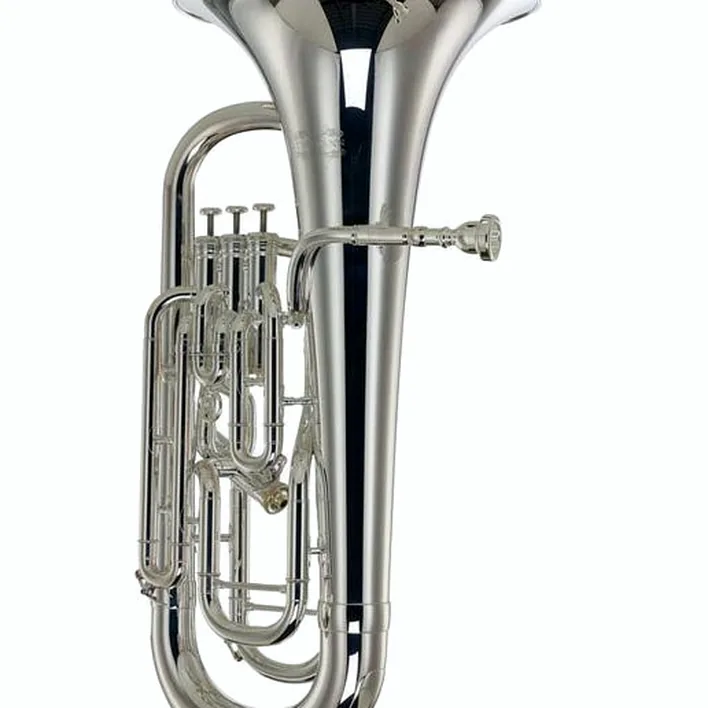 L’euphonium Thomann EP 802S Bb-Euphonium / Comparatif, Avis, Test