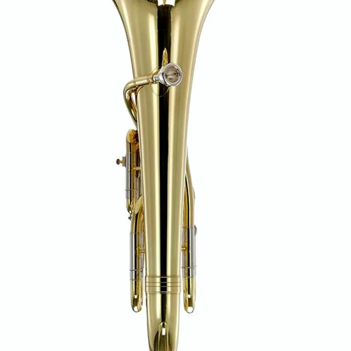 L’euphonium Thomann EP 902L Bb-Euphonium : Avis, Comparatif, Test