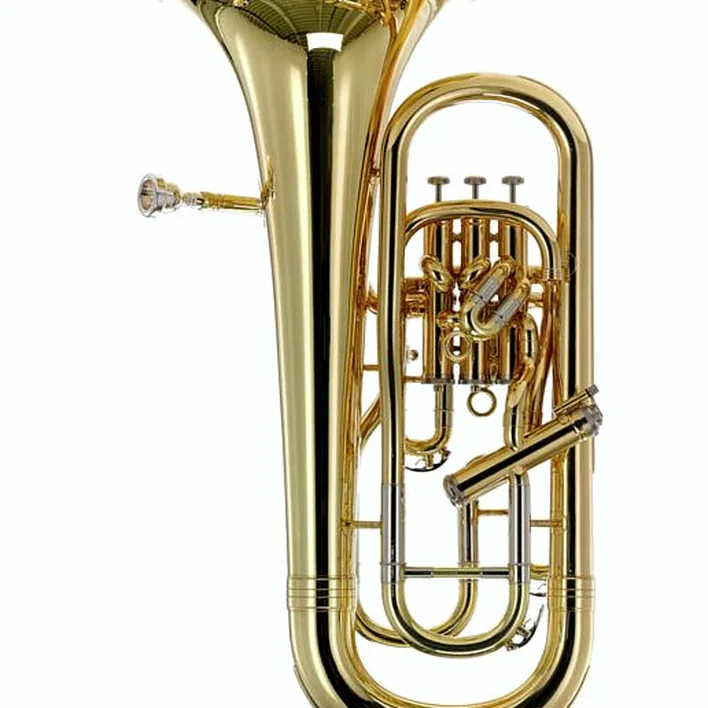 L’euphonium Thomann EP 902L Bb-Euphonium : Avis, Comparatif, Test