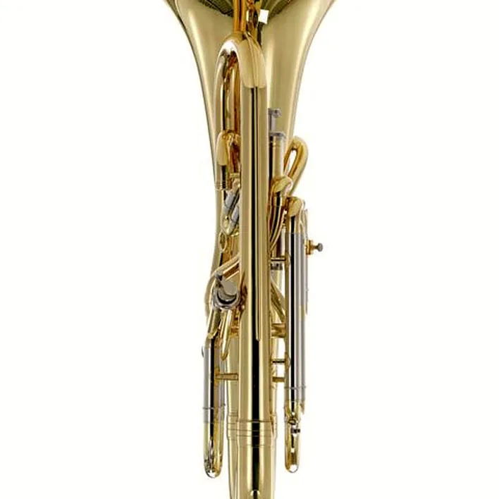 L’euphonium Thomann EP 902L Bb-Euphonium : Avis, Comparatif, Test