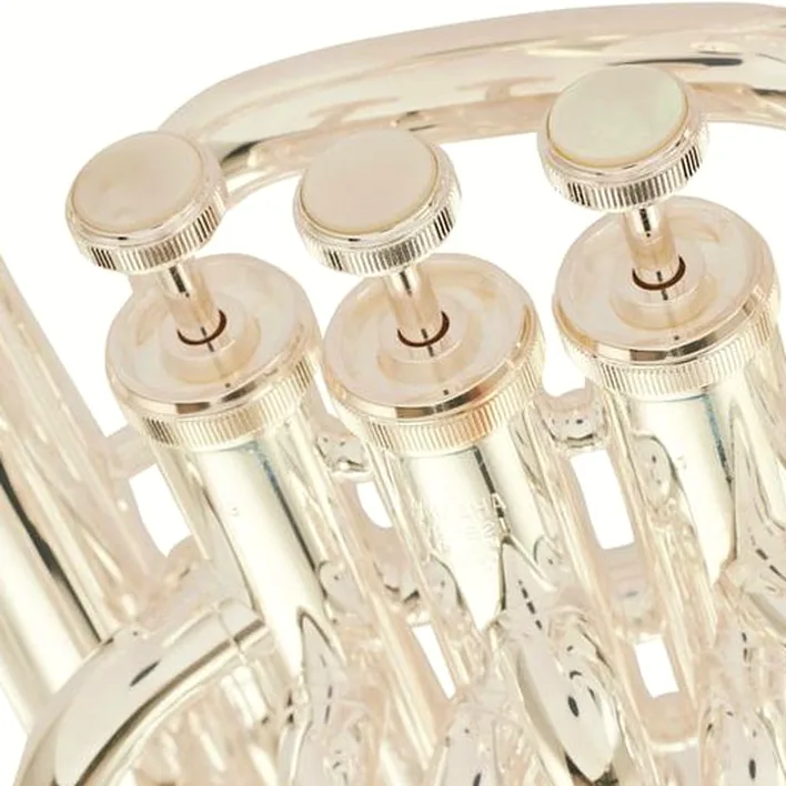L’euphonium Yamaha YEP-621S Bb-Euphonium : Comparatif, Test, Avis