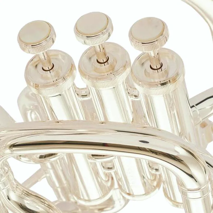 L’euphonium Yamaha YEP-621S Bb-Euphonium : Comparatif, Test, Avis