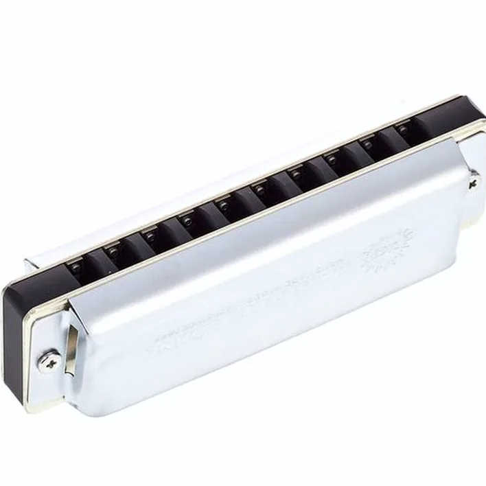 L’harmonica C.A. Seydel Söhne 1847 Noble Low D : Test, Comparatif et Avis