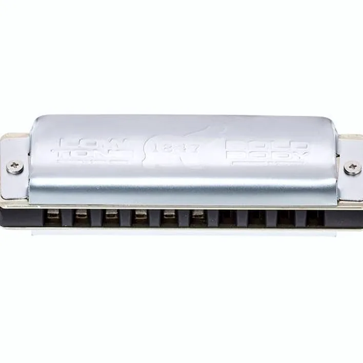 L’harmonica C.A. Seydel Söhne 1847 Noble Low D : Test, Comparatif et Avis