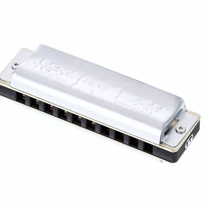 L’harmonica C.A. Seydel Söhne 1847 Noble Low D : Test, Comparatif et Avis