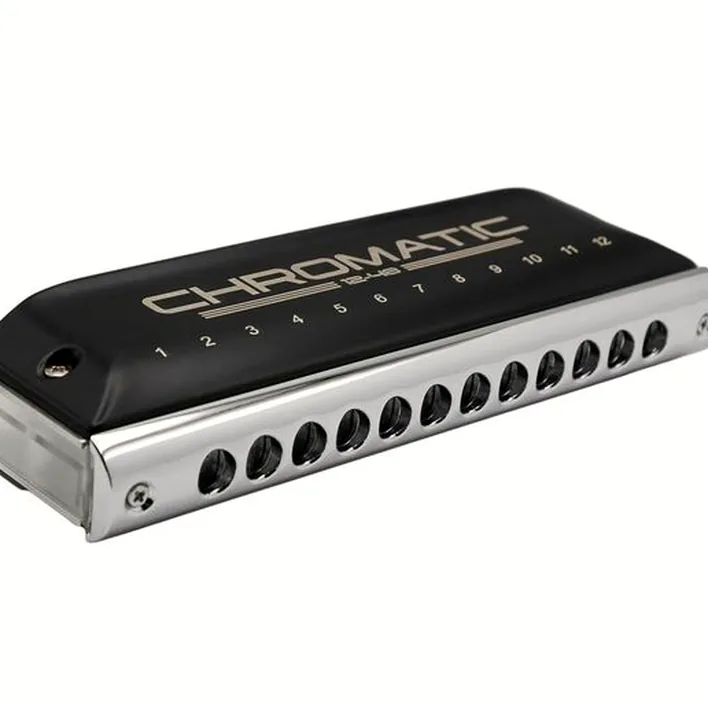 L’harmonica Cascha HH-2290 Chromatic 12-48 Harp , Test & Avis