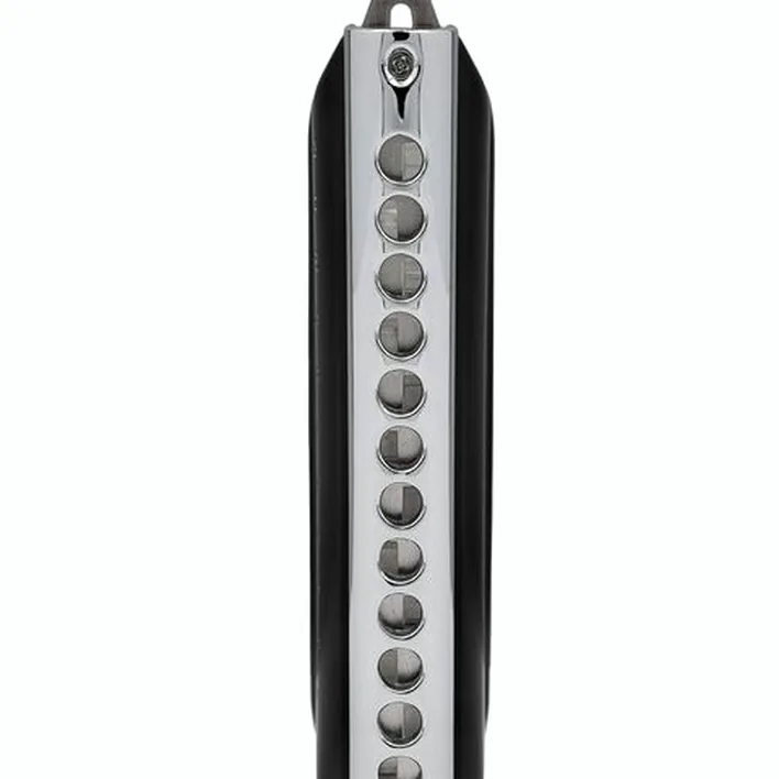 L’harmonica Cascha HH-2290 Chromatic 12-48 Harp , Test & Avis