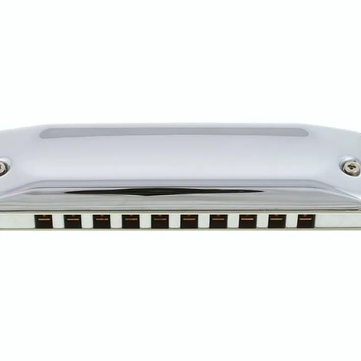 L’harmonica Hohner Meisterklasse MS B (H) : Avis, Test & Comparatif
