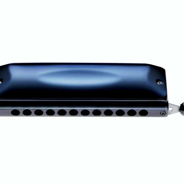 L’harmonica Suzuki G-48 Grégoire Maret / Avis, Comparatif et Test