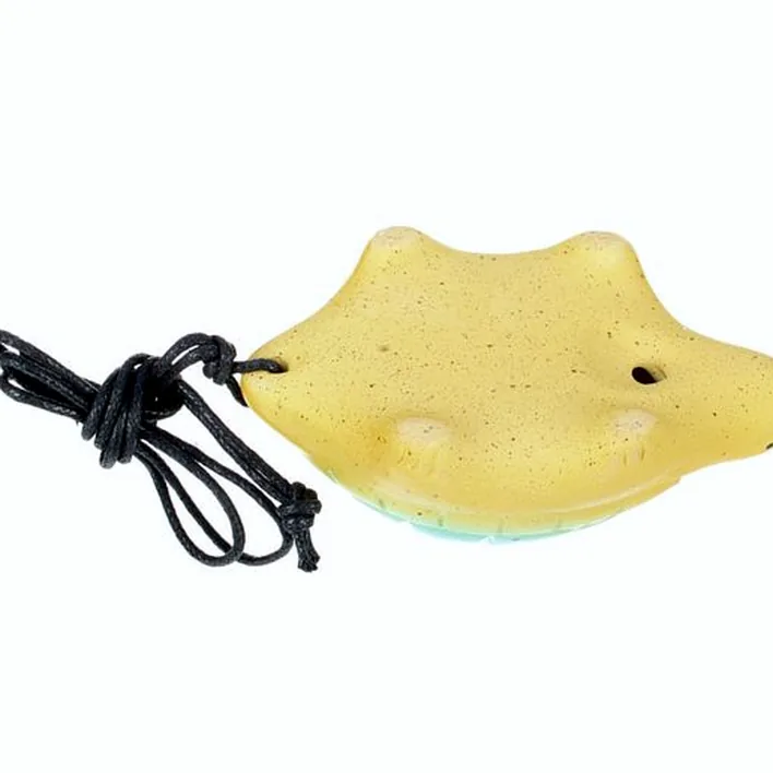 L’ocarina Thomann Ocarina 4H G Soprano Turtle BL , Comparatif, Test, Avis